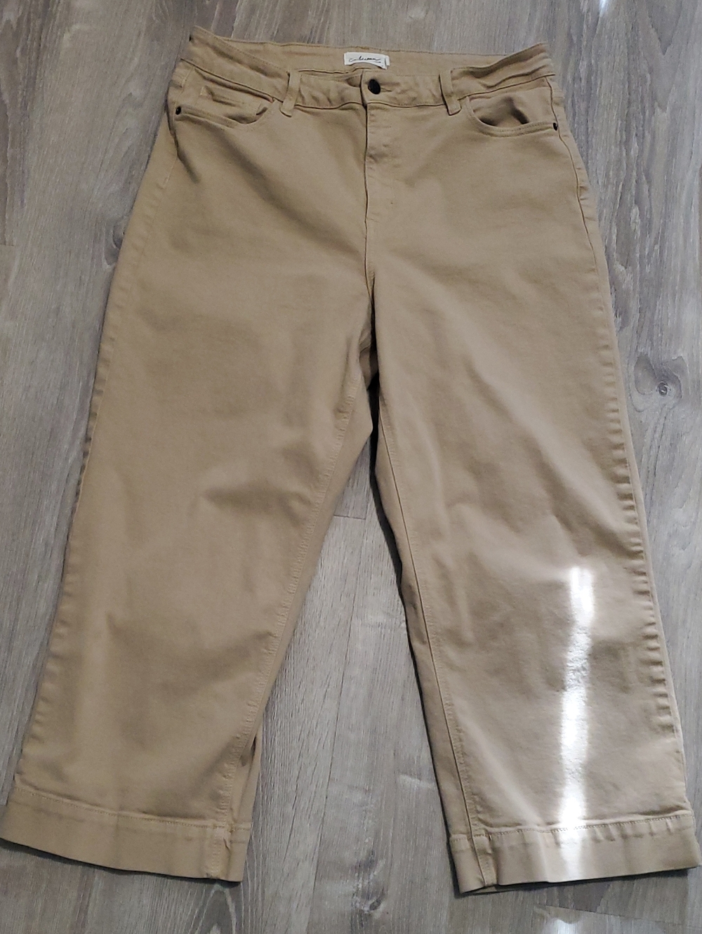 Carly Jean Los Angeles CJLA Mer Khaki Wide Leg Pants Plus Size 1X